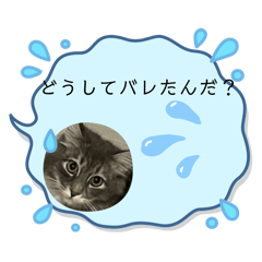 [LINEスタンプ] え？ボク？