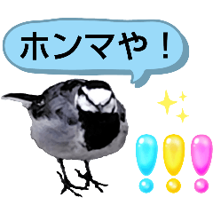 [LINEスタンプ] 早歩き鳥のハクセキレイ2（関西弁やで～）