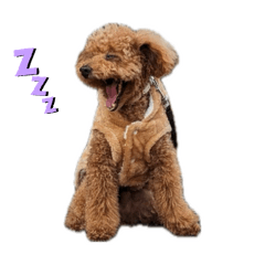 [LINEスタンプ] アンディ・ソラ2