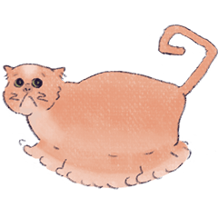 [LINEスタンプ] ぶらつき猫もちょちょ