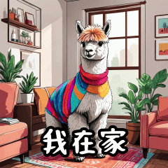 [LINEスタンプ] かわいいアルパカが台湾語で挨拶する。の画像（メイン）