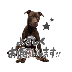[LINEスタンプ] ロジャー♂