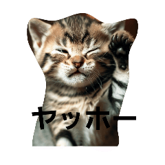 [LINEスタンプ] iiちゃん