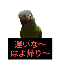 [LINEスタンプ] 母と娘の日常会話 LINE
