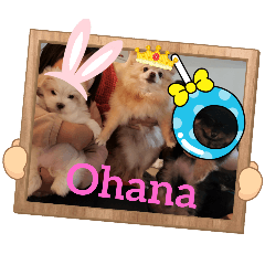 [LINEスタンプ] あたいたちohana1！