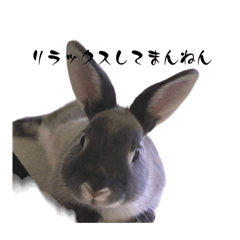 [LINEスタンプ] ラルフくんハイライト②