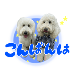 [LINEスタンプ] りきやとちくわ