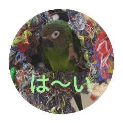 [LINEスタンプ] 我が子へメッセージ