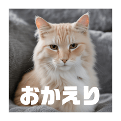 [LINEスタンプ] 〜猫〜