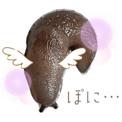 [LINEスタンプ] 苔氏家のゆかいな仲間たち(ナメツムver.)