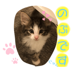 [LINEスタンプ] スタンプの、のぶ