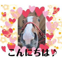 [LINEスタンプ] ぜーんぶ、キャラメル君！の画像（メイン）