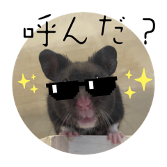 [LINEスタンプ] GABA！！！！