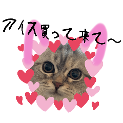 [LINEスタンプ] わたなべさんちのマンチカン 2