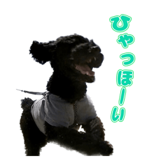 [LINEスタンプ] おれおくんの日常