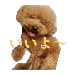 [LINEスタンプ] マカレアラキ