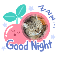 [LINEスタンプ] ぼたんスタンプ集