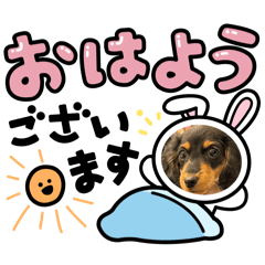 [LINEスタンプ] ♡らぶ♡ひとこと