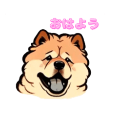 [LINEスタンプ] チャウチャウ犬の日常で使えるスタンプ