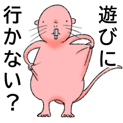 [LINEスタンプ] 友達連絡用ハダカデバネズミ