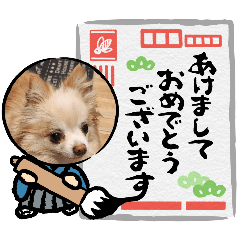 [LINEスタンプ] あたいたちohana 3！の画像（メイン）