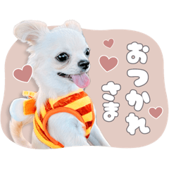 [LINEスタンプ] ぴの♡毎日使えるstamp