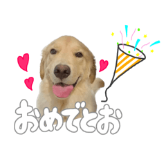 [LINEスタンプ] メルくんスタンプ♪