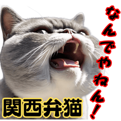 [LINEスタンプ] ふてぶてしい関西弁猫