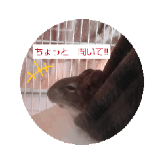 [LINEスタンプ] デグさん1の画像（メイン）