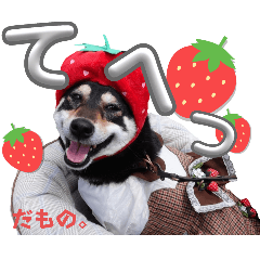 [LINEスタンプ] とよのスタンプだもの。の巻
