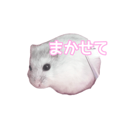 [LINEスタンプ] るーちゃんのすたんぷだお