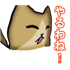 [LINEスタンプ] おうど色のねこさんスタンプ