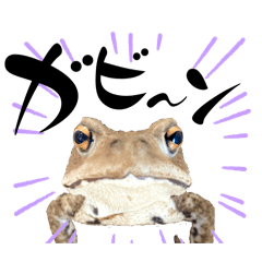 [LINEスタンプ] ヒキガエル そこかしこ