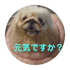 [LINEスタンプ] ユンバンチェン2