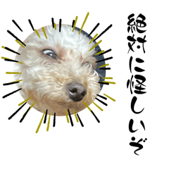 [LINEスタンプ] めるるの会話11