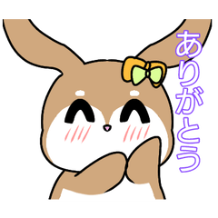 [LINEスタンプ] うさぎこのスタンプ