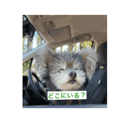 [LINEスタンプ] ちょうだよ