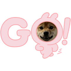 [LINEスタンプ] きなこんのすたんぷ
