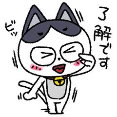 [LINEスタンプ] ハチワレ猫のいつでも使えるスタンプ