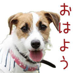 [LINEスタンプ] そら日和（JRT)