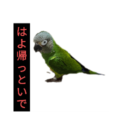 [LINEスタンプ] はよ帰っといで〜