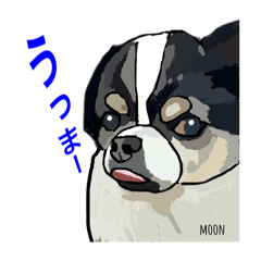 [LINEスタンプ] ペロちゃんと！❸