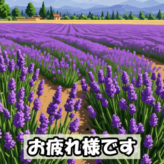 [LINEスタンプ] 植物で敬語スタンプの画像（メイン）