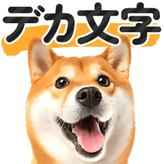[LINEスタンプ] 【デカ文字】柴犬写真のシンプルなスタンプ