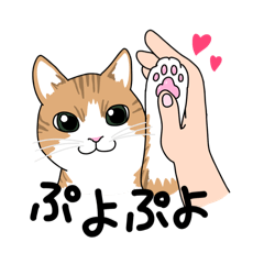 [LINEスタンプ] かんたんことば(オノマトペ)