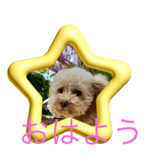 [LINEスタンプ] メプの日常