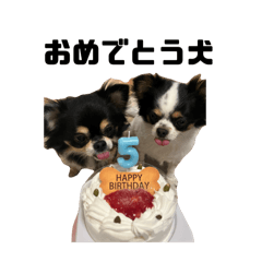 [LINEスタンプ] くうここシーズン2