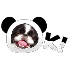 [LINEスタンプ] 可愛い笑顔挨拶