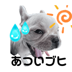 [LINEスタンプ] フレブルのブヒ子1