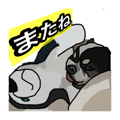 [LINEスタンプ] ペロちゃんと！❹